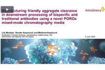 Manufacturing Friendly Aggregate Clearance In Downstream Processing