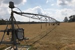 Irrigation Technology In Agriculture: How New Technologies Overcome Challenges