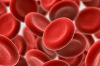 Red Blood Cells-GettyImages-184943572