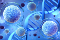 How Custom Media And Buffers Support CGT Development GettyImages-1335033345-cell-gene