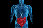 Human Digestive System-GettyImages-109726818