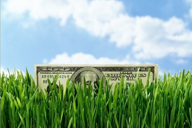 Money Peeking Out of Tall Grass Money Peeking Out of Tall Grass
