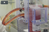 Corning Life Sciences: Your Preferred Fetal Bovine Serum Supplier Expert Manufacturing And Reliable Supply Of Serum Products