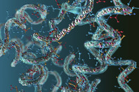 Quantification Of Exenatide Using Xevo TQD Chain-Amino-Acids-protein-GettyImages-1390037416