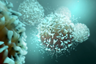 Isolation Of Antigen Specific CD8+ T Cells Using A Microchip-Based Cell Sorter T cells GettyImages-956478348