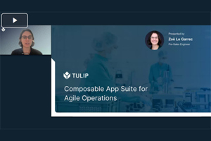 Tulip