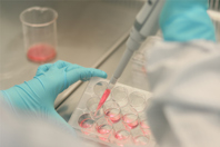 Gene Therapy Services GettyImages-1293098399 cell culture