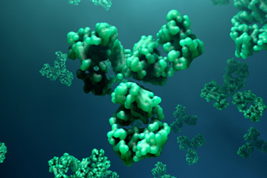 GettyImages-1167352850-antibody-green GettyImages-1167352850-antibody-green