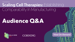 23_02_CGL_SCT2_Webinar_1920x1080_Seg06 23_02_CGL_SCT2_Webinar_1920x1080_Seg06