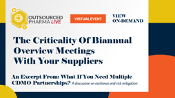 The Criticality Of Biannual Overview Meetings With Your Suppliers