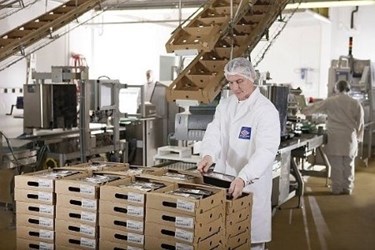 Meat Processors Meat Processors