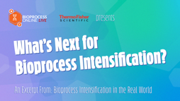 24_06_BPOL_1280x720_Seg08