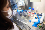 GettyImages-1219370954-scientist-in-lab-with-cell-culture