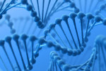 GettyImages-166021085 cell and gene