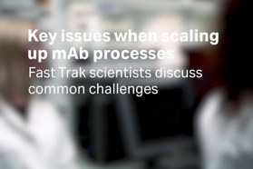 Factors Which Impact mAb Process Scale-Up Cytiva