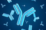 GettyImages-2192786673 antibodies