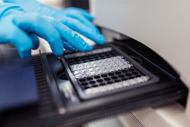 GettyImages-1380451602-PCR-machine-gloved-hands GettyImages-1380451602-PCR-machine-gloved-hands