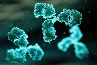 GettyImages-2151620900 antibody, IgG