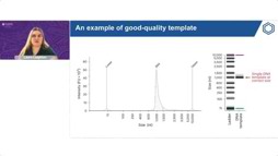 Advancing mRNA Quality Through CQA Profiling With Capillary Gel Electrophoresis And Liquid Chromatography