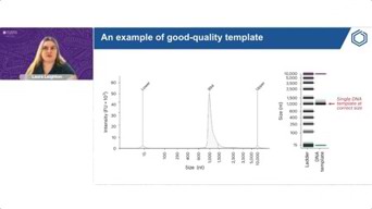 Advancing mRNA Quality Through CQA Profiling With Capillary Gel Electrophoresis And Liquid Chromatography