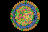 GettyImages-1438509986-isolated-rna-lipid-nanoparticle-LNP