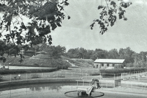 Pentair Fairbanks Nijhuis VDL Series Vertical Turbine Pumps wastewater-pumps