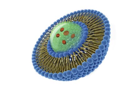 An Introduction To Liposome Processing For Drug Delivery