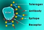 La Jolla Pharmaceutical Advances Stroke Drug Candidate La Jolla Pharmaceutical Advances Stroke Drug Candidate