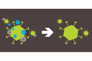 Purification of Mammalian Virus in a Single Step Purification of Mammalian Virus in a Single Step