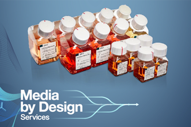 Thermo Fisher - Media By Design Thermo Fisher - Media By Design