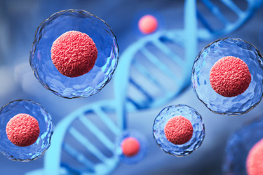 Human cell or Embryonic stem cell microscope-GettyImages-1437141702