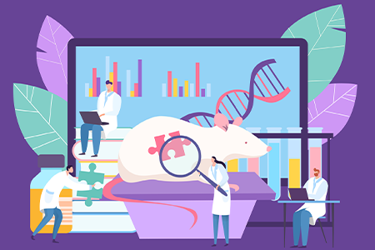 GettyImages-1931799373 mice GettyImages-1931799373 mice