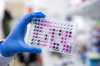 GettyImages-1609550431-96 well micro plate and pipettes