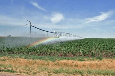 irrigation-sprinkler-large (1).jpg irrigation-sprinkler-large (1).jpg