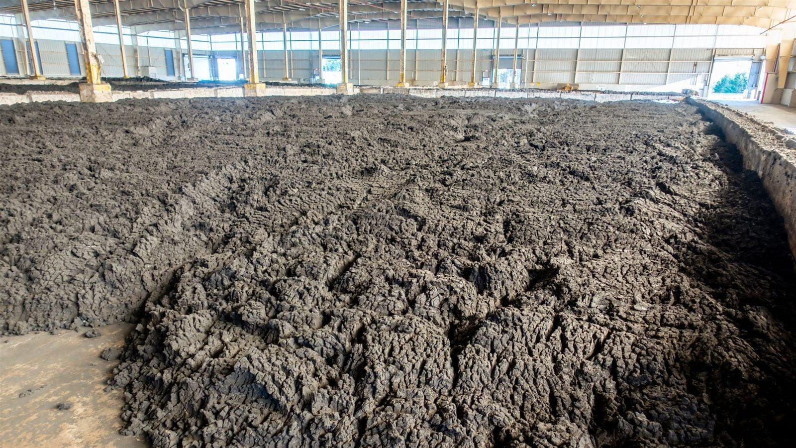 Microbes Play A Key Role In Unleashing 'Forever Chemicals' From Recycled-Waste Fertilizer - Vimarsana News