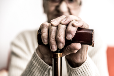 Old-Elderly-Cane