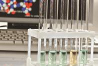 Cell Based Potency Assay In Functional Characterization Of mAbs Lab