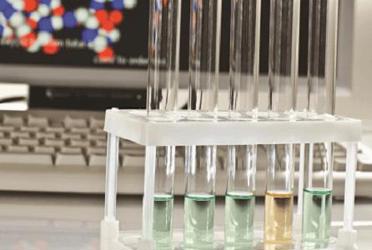 Lab Lab