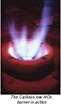 Development of new low-NOx burner from Callidus Technologies Inc. nearly complete Development of new low-NOx burner from Callidus Technologies Inc. nearly complete