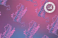 Characterization Of Fly-Derived Prolactin_Future Fields