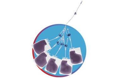 Manifold in Circle