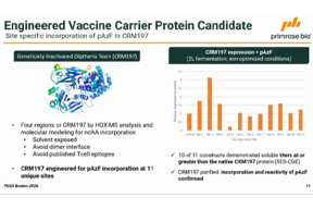 Primrose Bio - CRM197