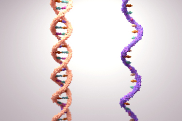 RNA, DNA Molecules-GettyImages-1333477715