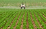 tractor-fertilizer-stock-300w.jpg