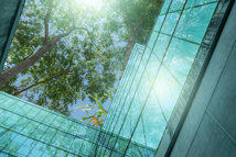 GettyImages-1518894120-tree-CO2-emissions-sustainable-eco-environment