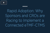 transperfect web snip 2 thumb