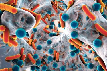 Antibiotic Resistant Bacteria Antibiotic Resistant Bacteria