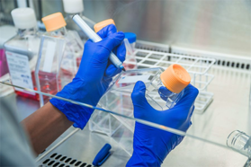 GettyImages-847137740 cell culture flask