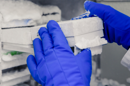 2022 Cold Chain Predictions Creating A New Normal - Vimarsana News