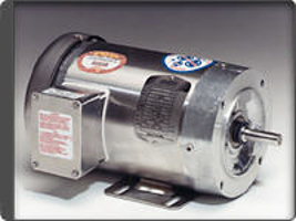 Paint Free Inverter Drive Motor 